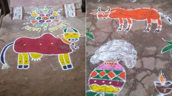 நம்ம மூஞ்சியா இப்படி இருக்கு? இதையெல்லாம் மாடு பார்த்தா ஆத்திரத்தில்.. இணையத்தை கலக்கும் மாடு மீம்ஸ்!