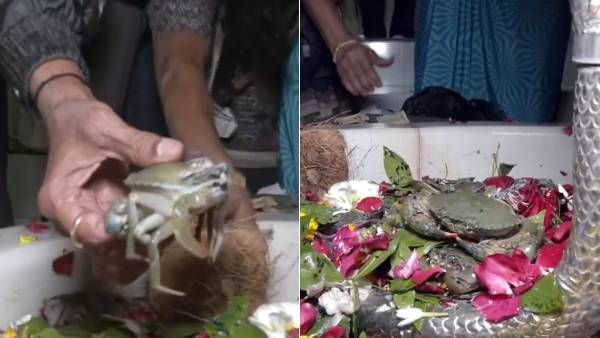 சிவன் கோயிலில் உயிருடன் நண்டுகளை காணிக்கையாக வழங்கும் பக்தர்கள்! இதென்ன புதுசா இருக்கே? என்ன காரணம்?