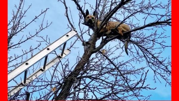 யார்ன்னு பார்த்தீங்களா.. அதுபாட்டுக்கு போகுது.. பின்னால ஏறி 