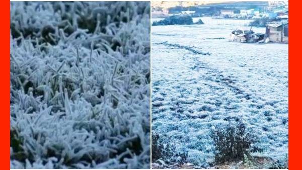 வெடவெடக்குதே.. உறைபனியில் உருகும் ஊட்டி.. நீலகிரியே நடுங்குதே.. அசந்துபோன சுற்றுலா பயணிகள்..!