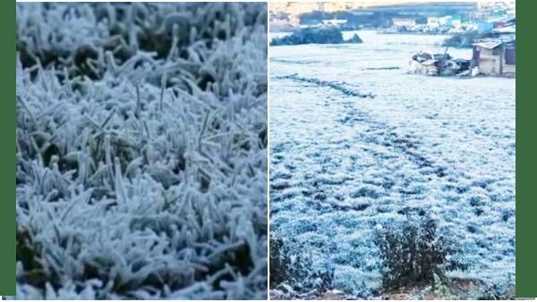 எலும்பை உறைய வைக்கும் 