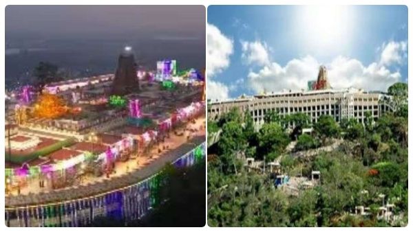 பழனி மலை..தமிழ் கடவுள் முருகன் கோவில் கும்பாபிஷேகம்..ஹெலிகாப்டரில் பூ மழை..என்னென்ன ஏற்பாடுகள்