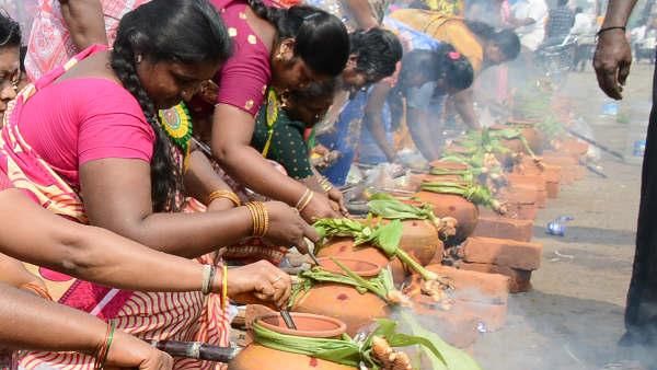 பொங்கலோ பொங்கல்..குலவைசத்தம் எதிரொலிக்க பொங்கல் வைக்க நல்ல நேரம்..என்னென்ன கொண்டாட்டம்