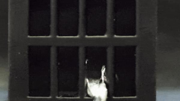 டெர்மினேட்டர் T-1000 ஞாபகம் இருக்கா? நிஜத்தில் 