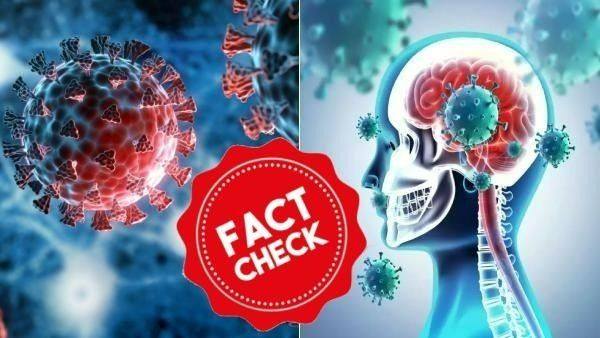 Fact Check: புதிய வகை கொரோனா நுரையீரலை விட மூளையை மோசமாக தாக்குமா? பரவிய தகவல் உண்மையில்லை