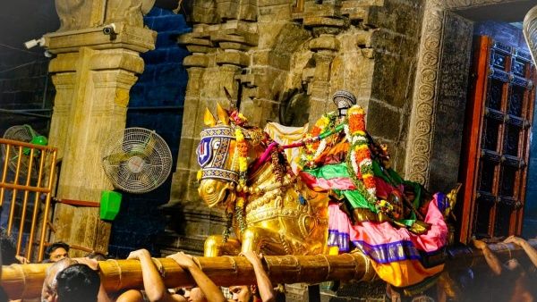 பெருமாளின் கால் மெட்டியை வாயால் கடித்த திருமங்கை மன்னன்..ஸ்ரீரங்கத்தில் வேடுபறி விழா உற்சாகம்