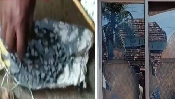 சிவகங்கை ஆர்எஸ்எஸ் நிர்வாகி வீட்டில் நாட்டு வெடிகுண்டுகள் வீச்சு.. கேட்டில் பறந்த விசிக கொடி! ஷாக்