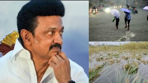 பருவம் தவறி பெய்த மழை..மூழ்கிய நெற்பயிர்கள்..ஹெக்டேருக்கு ரூ.20 ஆயிரம் நிவாரணம் அறிவித்த முதல்வர்
