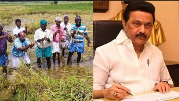 டெல்டா மாவட்டங்களில் நாளை மத்திய குழு ஆய்வு.. முதல்வர் ஸ்டாலின் கடிதம் எதிரொலி.. அடுத்தது இதுதான்!