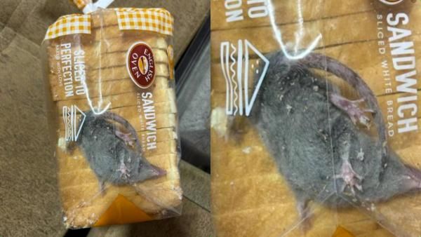 ஆன்லைனில் ஆர்டர் செய்த பிரெட் பாக்கெட்.. உள்ளே பார்த்தால்.. 'உவ்வே'.. என்ன இப்படி கிளம்பிட்டீங்க?