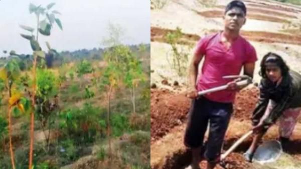 ஏய் எப்புட்றா.. வெறும் 5 வருடம்.. பொட்டல் காட்டை பூஞ்சோலையாக மாற்றிய அண்ணன் தங்கை.. ப்பா செம மாற்றம்