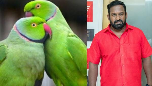 கிளிகள் வளர்த்தது ஏன்? நடிகர் ரோபோ சங்கரின் விளக்கத்தை ஏற்க மறுத்து ரூ 2.50 லட்சம் அபராதம் விதிப்பு