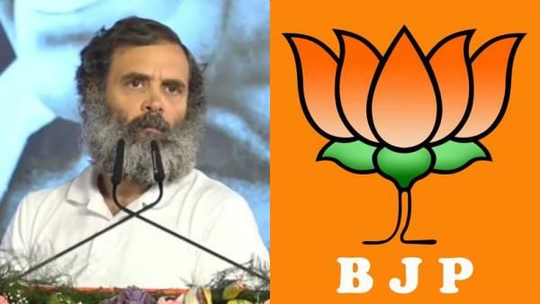 அப்பாடா.. ஒரு வழியா எங்க சாதனையை ஏற்றுக்கொண்டார்.. ராகுலை கேலி செய்யும் பாஜக..  ஏன் தெரியுமா? 