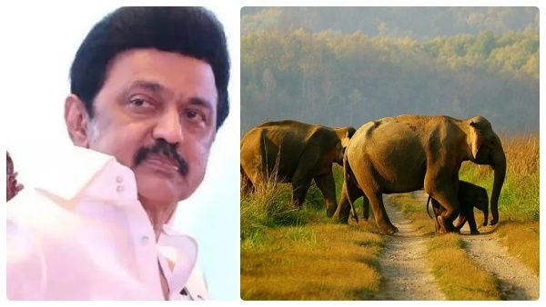 நெல்லை மாவட்டத்துக்கு முதல்வர் ஸ்டாலின் தந்த கிஃப்ட்! உள்ளூர் மக்களின் வாழ்வாதாரம் உயர வழி!