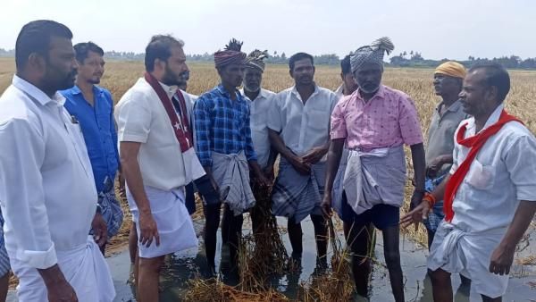 டெல்டாவில் பயிர் சேதம்! ஏக்கருக்கு ரூ.25,000 இழப்பீடு தருக! அரசுக்கு தமிமுன் அன்சாரி வேண்டுகோள்!