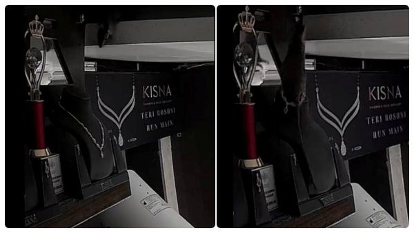 போச்சே.. நைஸாக வந்து சைஸாக நெக்லஸை திருடி சென்ற எலி.. பதறிய நகைக்கடை..ஐபிஎஸ் அதிகாரி ஷாக் வீடியோ