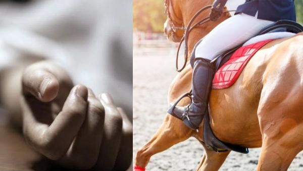 தேனிலவில் ஷாக்.. குதிரையில் ஏறிய புதுமாப்பிள்ளை.. அடுத்த நொடி நடந்த 