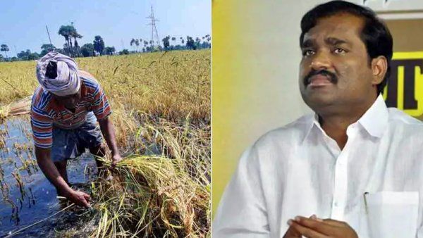 தொடரும் விவசாயிகளின் துயரம்! மழைநீரில் மூழ்கிய நெற்பயிர்கள்! வேல்முருகன் வைக்கும் முக்கிய டிமாண்ட்!