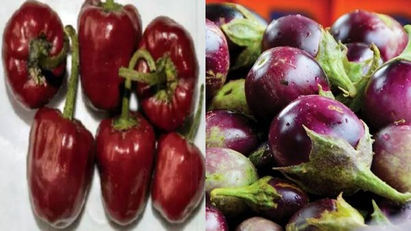 இலவம்பாடி முள்ளு கத்தரிக்காய்..ராமநாதபுரம் குண்டு மிளகாய்க்கு புவிசார் குறியீடு..இத்தனை சிறப்பா?