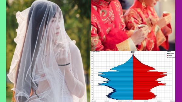 ஹனிமூன் ஜாலி.. பறந்த ஹேப்பி நியூஸ்.. சம்பளம் வேற.. திக்குமுக்காடிய புதுமண தம்பதிகள்.. எங்கேனு பாருங்க