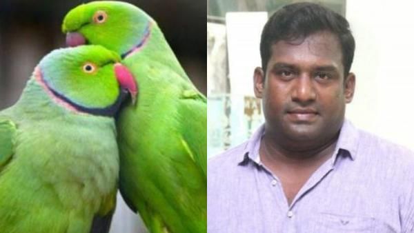 நடிகர் ரோபோ சங்கர் வீட்டில் பறிமுதல் செய்த அலெக்சாண்ட்ரியன் கிளிகளை வளர்க்க தடை ஏன்? ஸ்வாரஸ்ய தகவல்