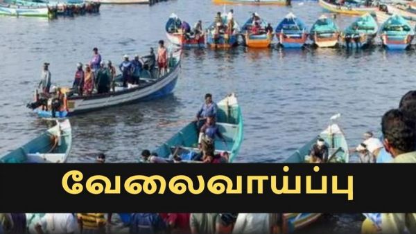 தேர்வு இல்லை.. தமிழக மீன்வளத்துறையில் வேலைவாய்ப்பு.. சென்னையில் தான் பணி.. எப்படி விண்ணப்பிக்கலாம்?