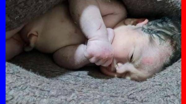 முனகல் சத்தம்.. சொட்டு சொட்டா ரத்தம்.. எட்டிப்பார்த்து அதிர்ந்த டீம்.. இதயத்தை நொறுங்க செய்த 