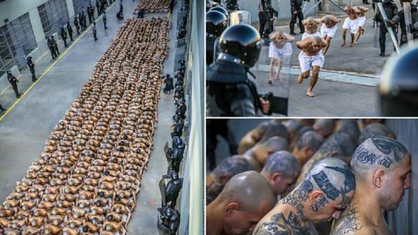 பார்க்கவே சிலிர்க்குதே.. புதிதாக திறக்கப்பட்ட சிறை.. சாரை சாரையாக படையெடுத்த கைதிகள்.. என்னங்க இது?