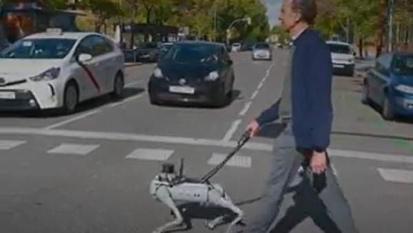 பார்வை மாற்றுதிறனாளிகள்.. இனி ஈஸியா சாலையை கடக்கலாம்! ஸ்பெயின் ஆய்வாளர்கள் கண்டுபிடித்த 'ரோபா நாய்'