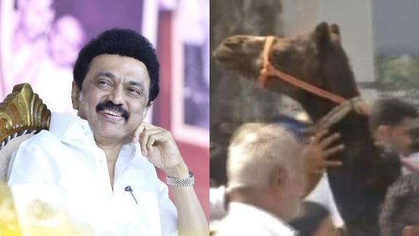 என்னப்பா இதை கொண்டு வர்றீங்க.. பிறந்த நாள் பரிசாக ஒட்டகம்.. ஆச்சர்யமாக பார்த்த முதல்வர் ஸ்டாலின்!