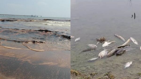 திடீரென நிறம் மாறிய 