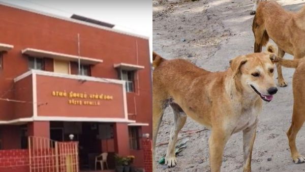 கேட்டாலே நடுங்குதே.. அதுக்காக இப்படியா.. தெருநாயை ரத்தம் சொட்ட சொட்ட.. 