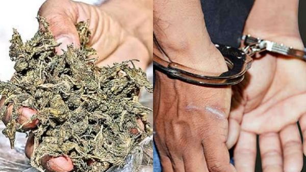 வடமாநில தொழிலாளர்களுக்கு கஞ்சா விநியோகம்.. வேடசந்தூர் அருகே 10 பேர் கும்பல் கைது!