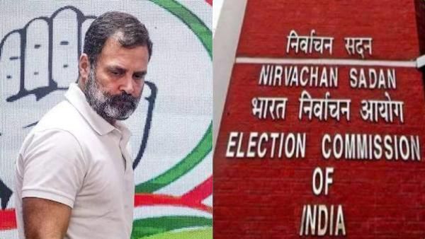 வெறும் 3 நாட்களில் மாறிய ராகுலின் அரசியல் வாழ்க்கை.. வயநாடு தொகுதி காலி.. தேர்தல் ஆணையம் அறிவிப்பு