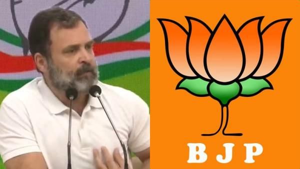 ‛ஒரே பொய்’.. பாஜக அமைச்சர்களை கடுமையாக விமர்சித்த ராகுல் காந்தி.. பரபரத்த பத்திரிகையாளர் சந்திப்பு