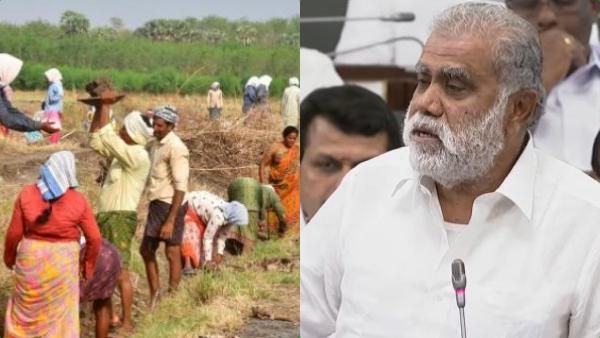 100 நாள் வேலை.. ஊதியம் ரூ.294 ஆக உயர்வு.. ஏப்ரல் 2 முதல் அமல்.. அமைச்சர் ஐ.பெரியசாமி அறிவிப்பு!