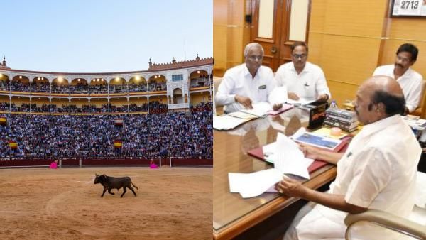 அலங்காநல்லூர் ஜல்லிக்கட்டு அரங்கம்! வேலை வேகமாக நடக்கணும்! அமைச்சர் எ.வ.வேலு ஸ்பெஷல் கவனம்!