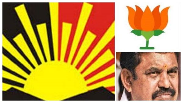 பூனைக்கு மணி கட்டிய 