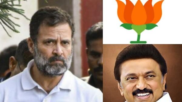 24 மணி நேரம் கூட ஆகல.. அதுக்குள்ளயா? ராகுலுக்கு போன் போட்ட ஸ்டாலின்.. காங்கிரஸின் ஒரே சாய்ஸ் இதானா?