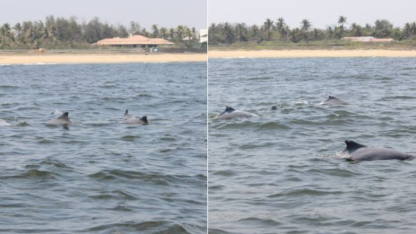 சென்னை பீச்சில் பார்த்தால்.. என்னது இது.. மீண்டும் மீண்டும் இப்படி நடக்குதே.. சட்டென தோன்றிய உருவம்!