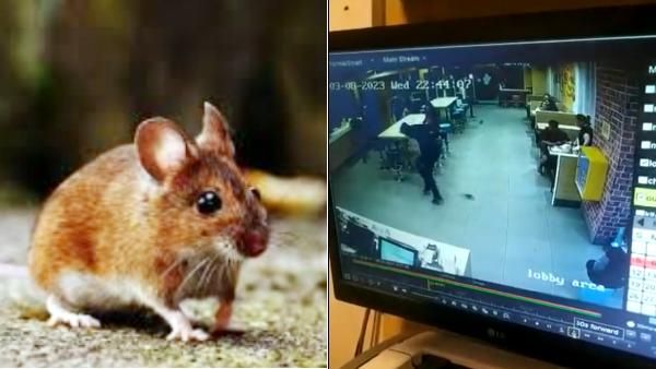 அடபாவமே.. அமைதியா சாப்பிட்ட சிறுவன்.. டவுசருக்குள் நுழைந்து கடித்த எலி.. சிக்கலில் பிரபல ஓட்டல்!