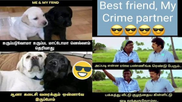 நானும், என் கிரைம் பார்ட்னரும்.. பக்கத்து வீட்டுப் பிள்ளையக் கிள்ளி விட்டுட்டு ஓடி வந்துருவோம்ல!