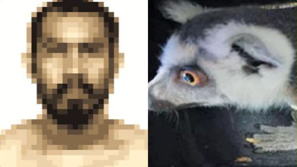 படார்னு 