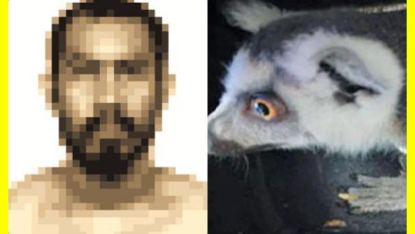 படக்குனு 