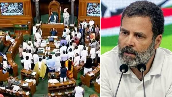 ராகுல் விவகாரம்: காங்.எம்பிக்கள் கூண்டோடு ராஜினாமா செய்யனும்.. கொந்தளிக்கும் 'இளந்தாரிகள்'