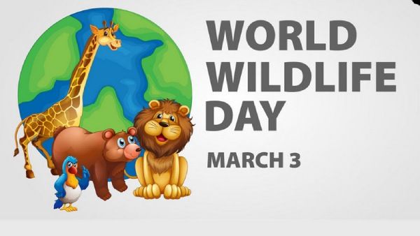 உலக காட்டுயிர்கள் தினம்: வன விலங்குகள் வேட்டையாடப்படுவது முற்றிலுமாக தடுக்கப்பட வேண்டும்