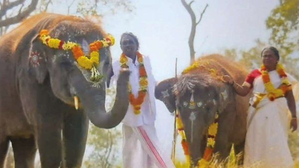 The Elephant Whisperers: குட்டி யானை ரகு என் சாப்பாட்டை திருடி சாப்பிடுவான்! முதுமலை பெள்ளி பூரிப்பு