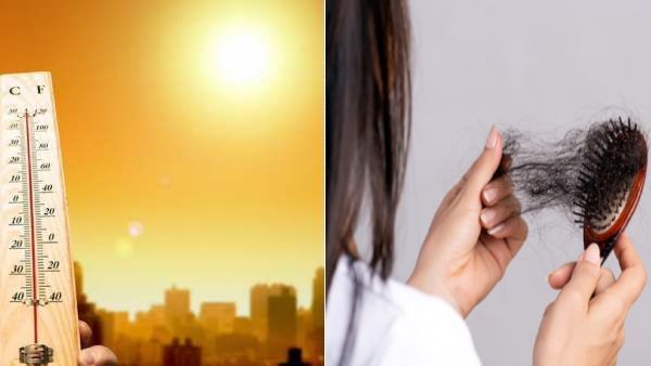 சுட்டெரிக்கும் வெயில் .. கொத்து கொத்தாக கொட்டும் தலைமுடி..ஆரோக்கியத்திற்கு டாக்டர் சொல்லும் அட்வைஸ்