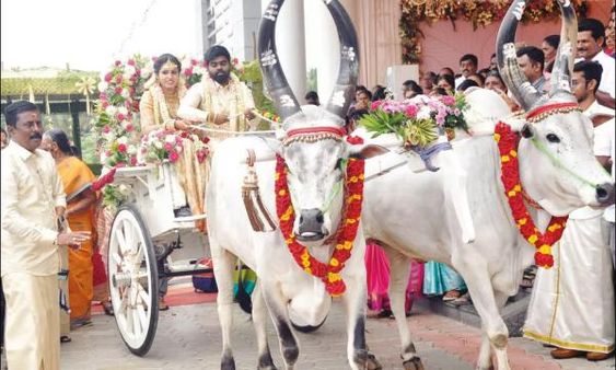 4 கி.மீ. தூரம்.. தாலி கட்டிய கையோடு மனைவியை மாட்டு வண்டியில் அழைத்து சென்ற டாக்டர்! நெகிழ்ச்சி