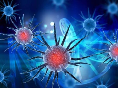 ஒரு பக்கம் கொரோனா.. மறுபுறம் விருதுநகரில் புகுந்த ஆப்பிரிக்கன் பன்றி காய்ச்சல்.. எந்தளவுக்கு ஆபத்து